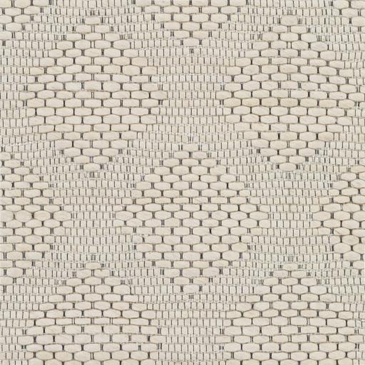 Surya Colarado CDO-2300 2' x 3' Rug