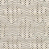 Surya Colarado CDO-2300 2' x 3' Rug