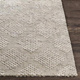Surya Colarado CDO-2301 2' x 3' Rug