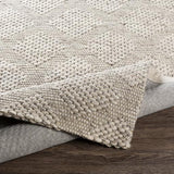 Surya Colarado CDO-2301 2' x 3' Rug