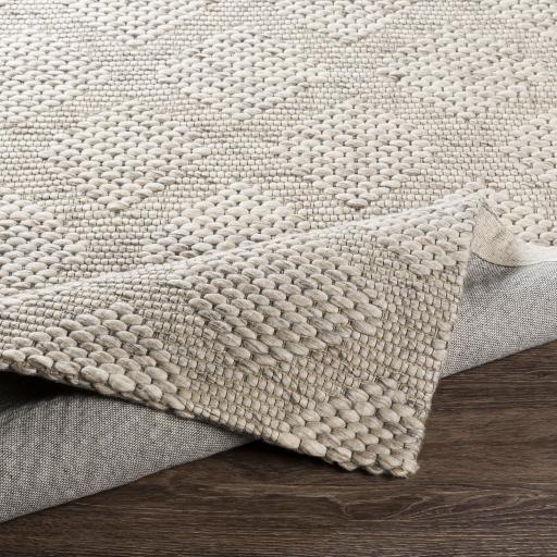 Surya Colarado CDO-2301 2'6" x 8' Rug