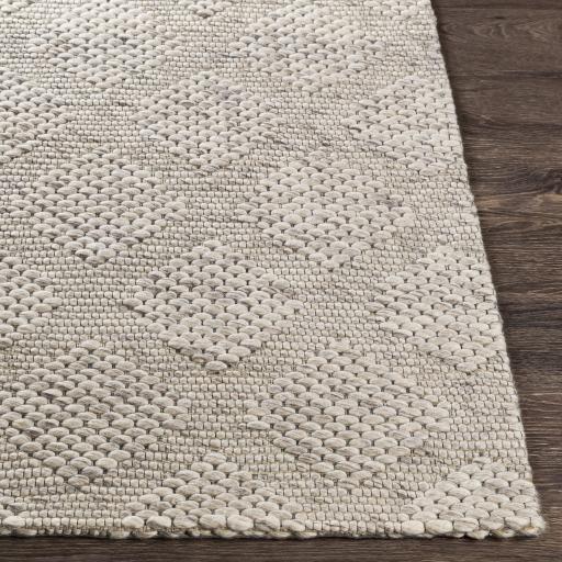Surya Colarado CDO-2301 8'10" x 12' Rug