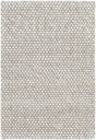 Surya Colarado CDO-2304 2' x 3' Rug