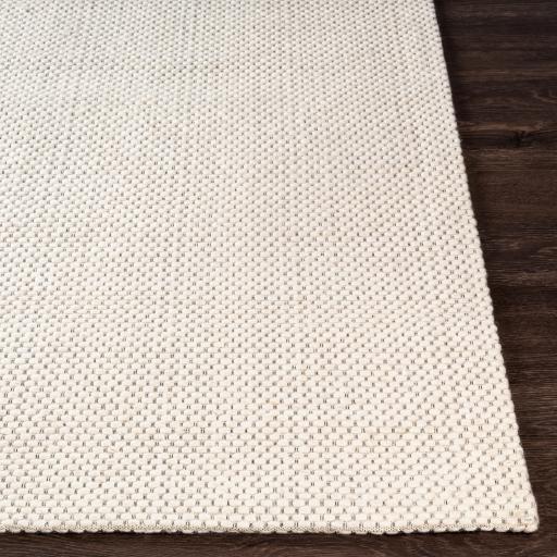 Surya Colarado CDO-2305 Cream 2' x 3' Rug