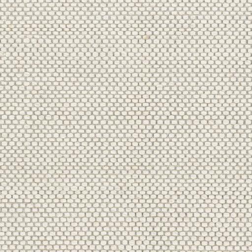 Surya Colarado CDO-2305 2' x 3' Rug