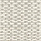 Surya Colarado CDO-2305 2' x 3' Rug