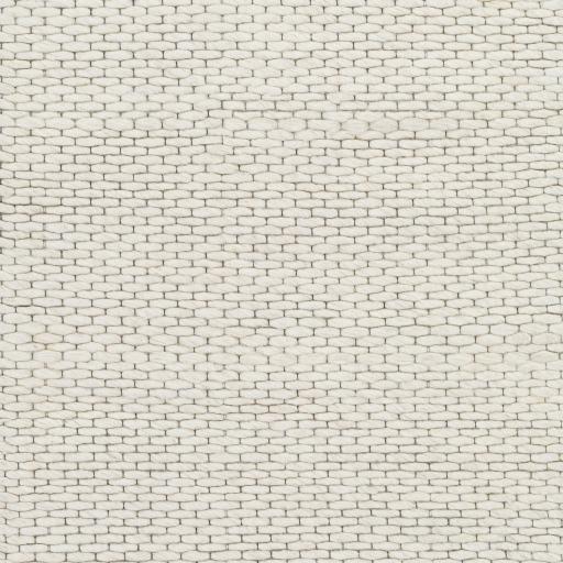 Surya Colarado CDO-2307 8'10" x 12' Rug