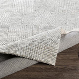 Surya Colarado CDO-2309 2' x 3' Rug