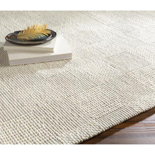 Surya Colarado CDO-2310 2' x 3' Rug