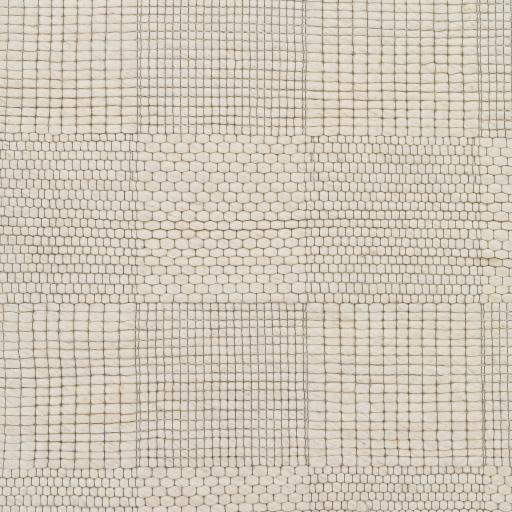 Surya Colarado CDO-2310 8'10" x 12' Rug