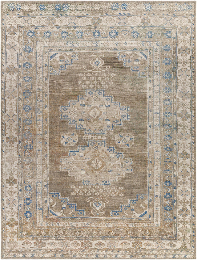 Surya Colin CLN-2303 6'7" x 9' Rug