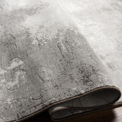 Surya Contempo CPO-3839 2' x 2'11" Rug