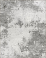 Surya Contempo CPO-3839 9' x 12'10" Rug