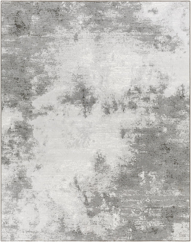 Surya Contempo CPO-3839 9' x 12'10" Rug