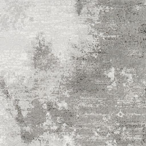 Surya Contempo CPO-3839 9' x 12'10" Rug