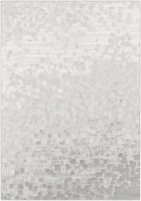 Surya Contempo CPO-3843 2'7" x 7'10" Rug