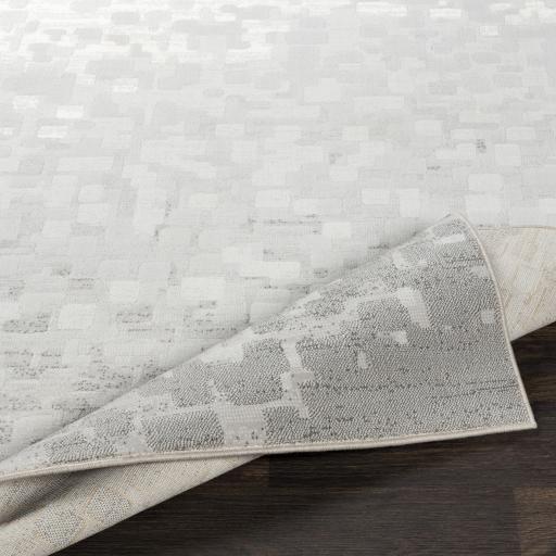 Surya Contempo CPO-3843 2'7" x 7'10" Rug