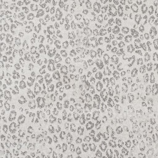 Surya Contempo CPO-3852 9' x 12'10" Rug