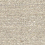 Surya Continental COT-1930 5' x 8' Rug