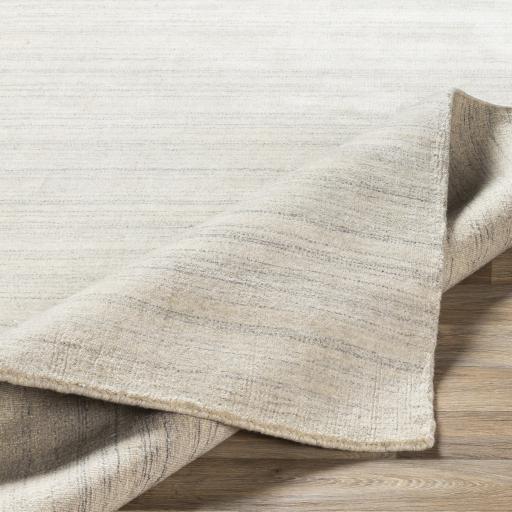 Surya Costine CSE-1002 2' x 3' Rug