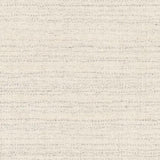 Surya Costine CSE-1002 2' x 3' Rug
