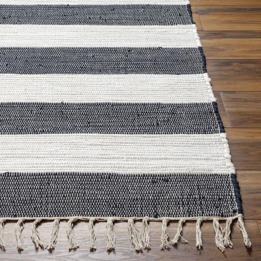 Surya Cotone CTE-2301 8' x 10' Rug