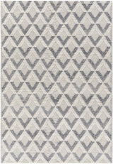Surya Daffodil DFF-2304 6' x 9' Rug