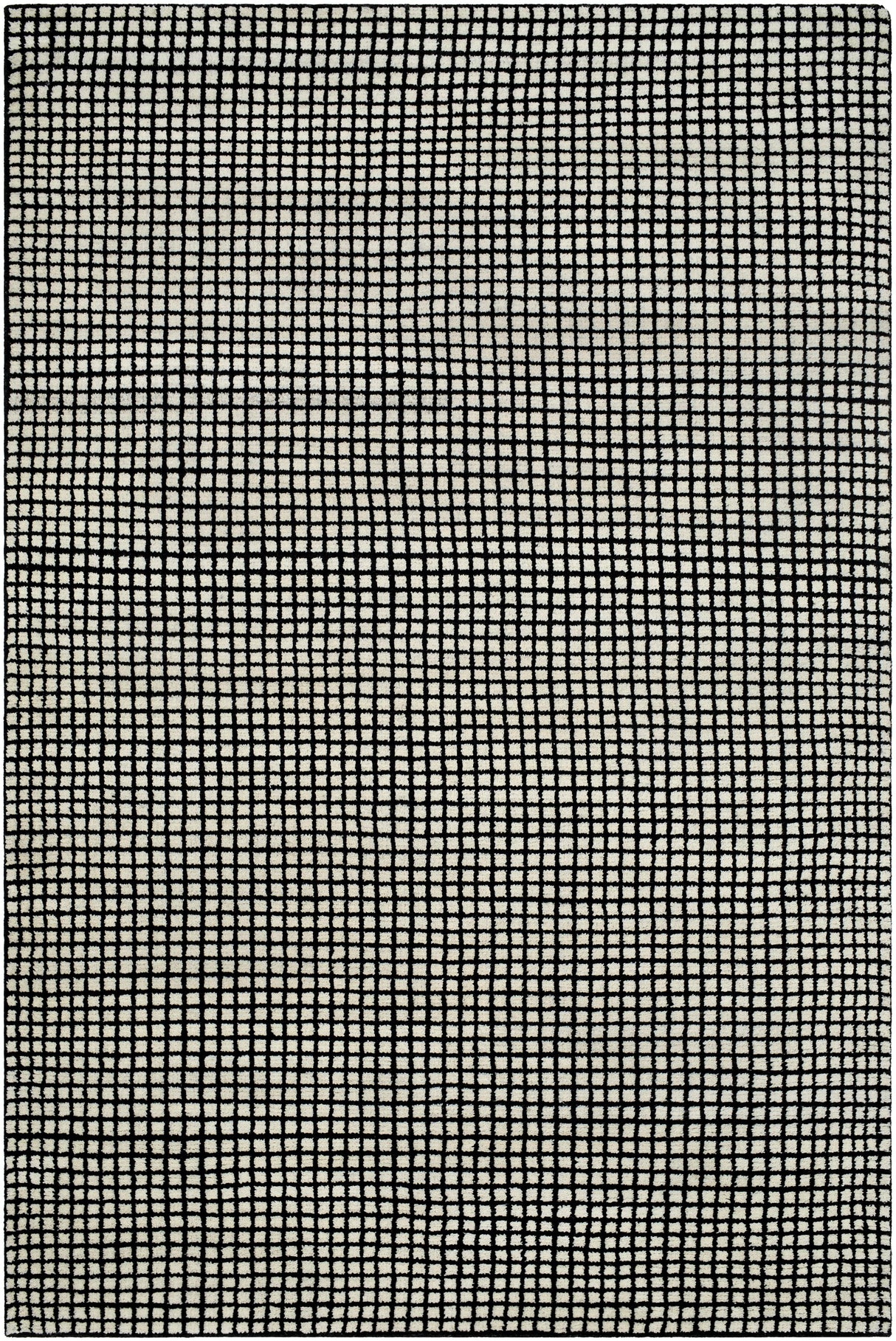 Surya Damier DMI-2300 2' x 3' Rug