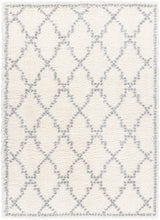 Surya Deluxe Shag DXS-2305 6'7" x 9' Rug