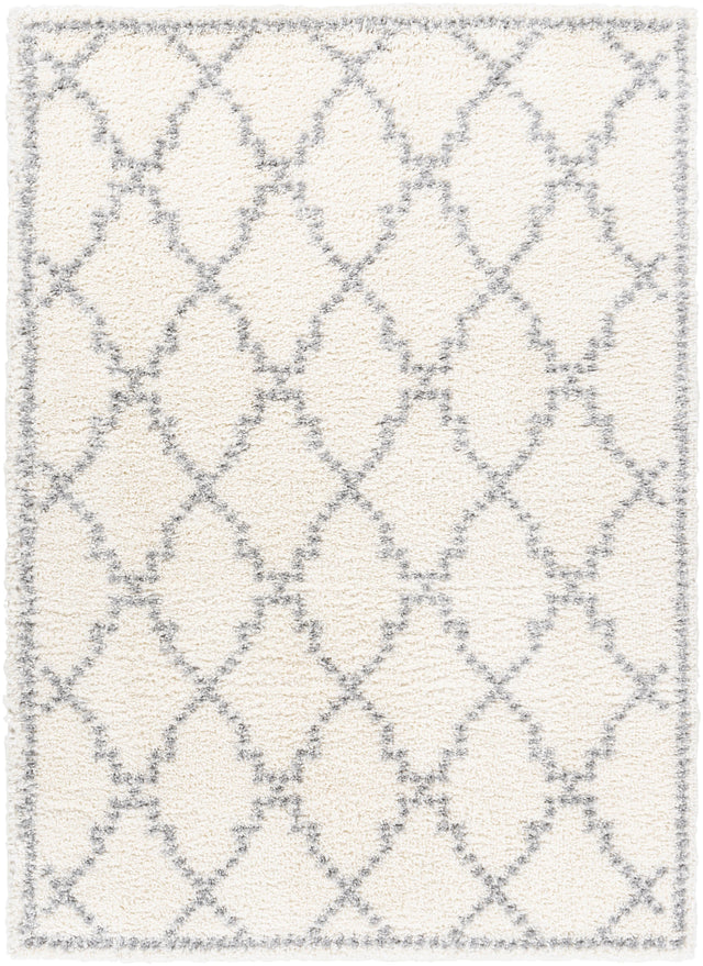 Surya Deluxe Shag DXS-2305 6'7" x 9' Rug