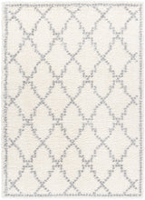 Surya Deluxe Shag DXS-2305 6'7" x 9' Rug
