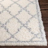 Surya Deluxe Shag DXS-2305 6'7" x 9' Rug
