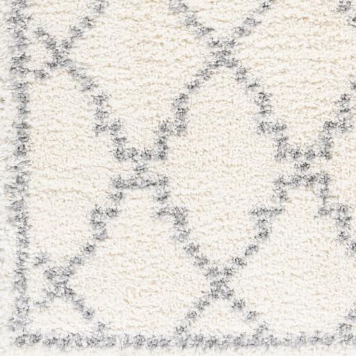 Surya Deluxe Shag DXS-2305 6'7" x 9' Rug