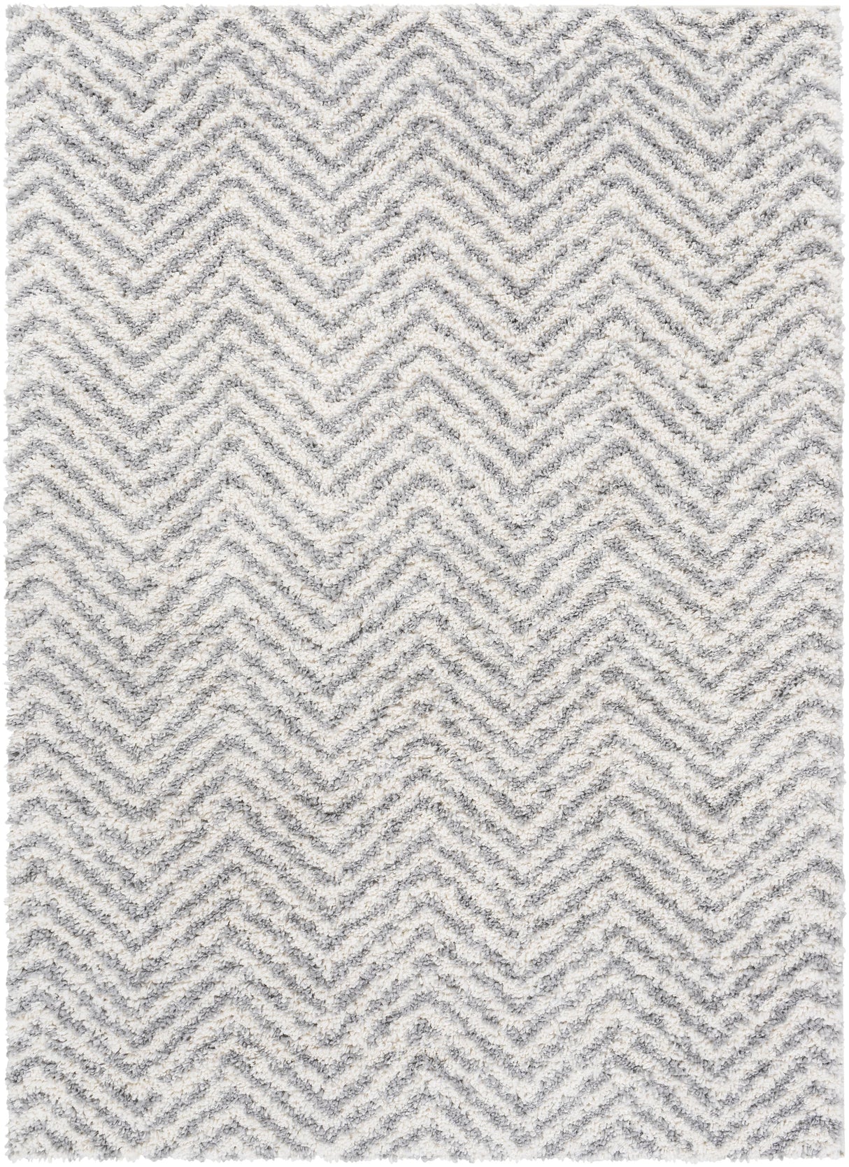 Surya Deluxe Shag DXS-2307 2' x 3' Rug