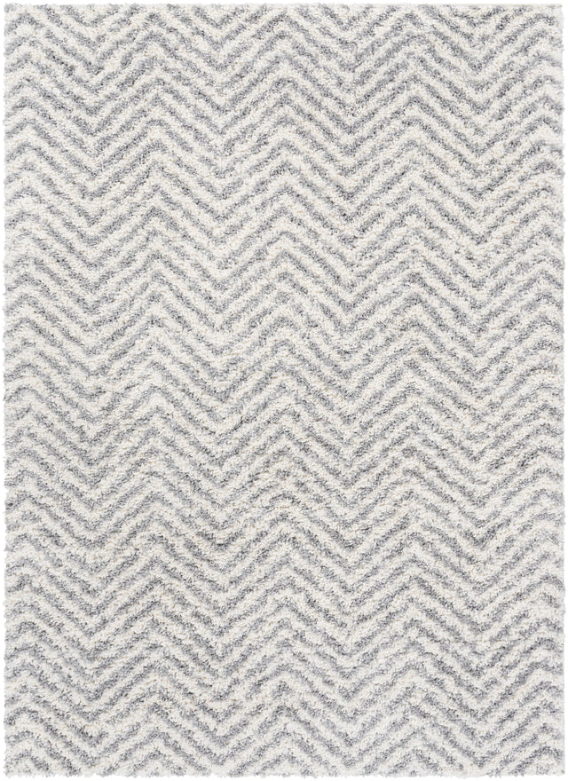 Surya Deluxe Shag DXS-2307 2' x 3' Rug