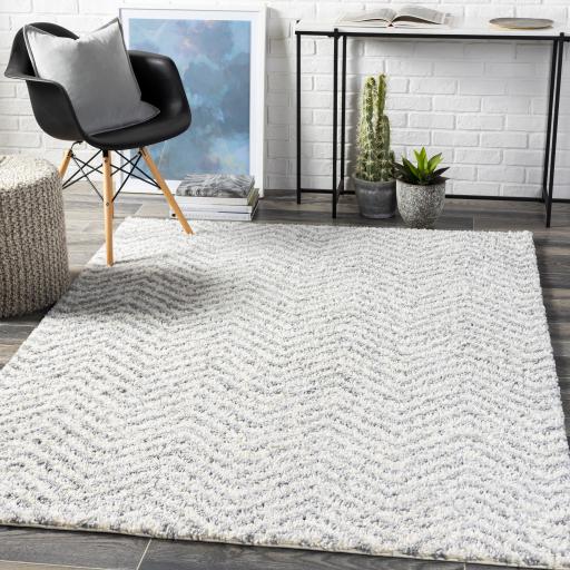 Surya Deluxe Shag DXS-2307 2' x 3' Rug