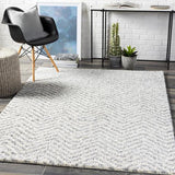 Surya Deluxe Shag DXS-2307 2' x 3' Rug