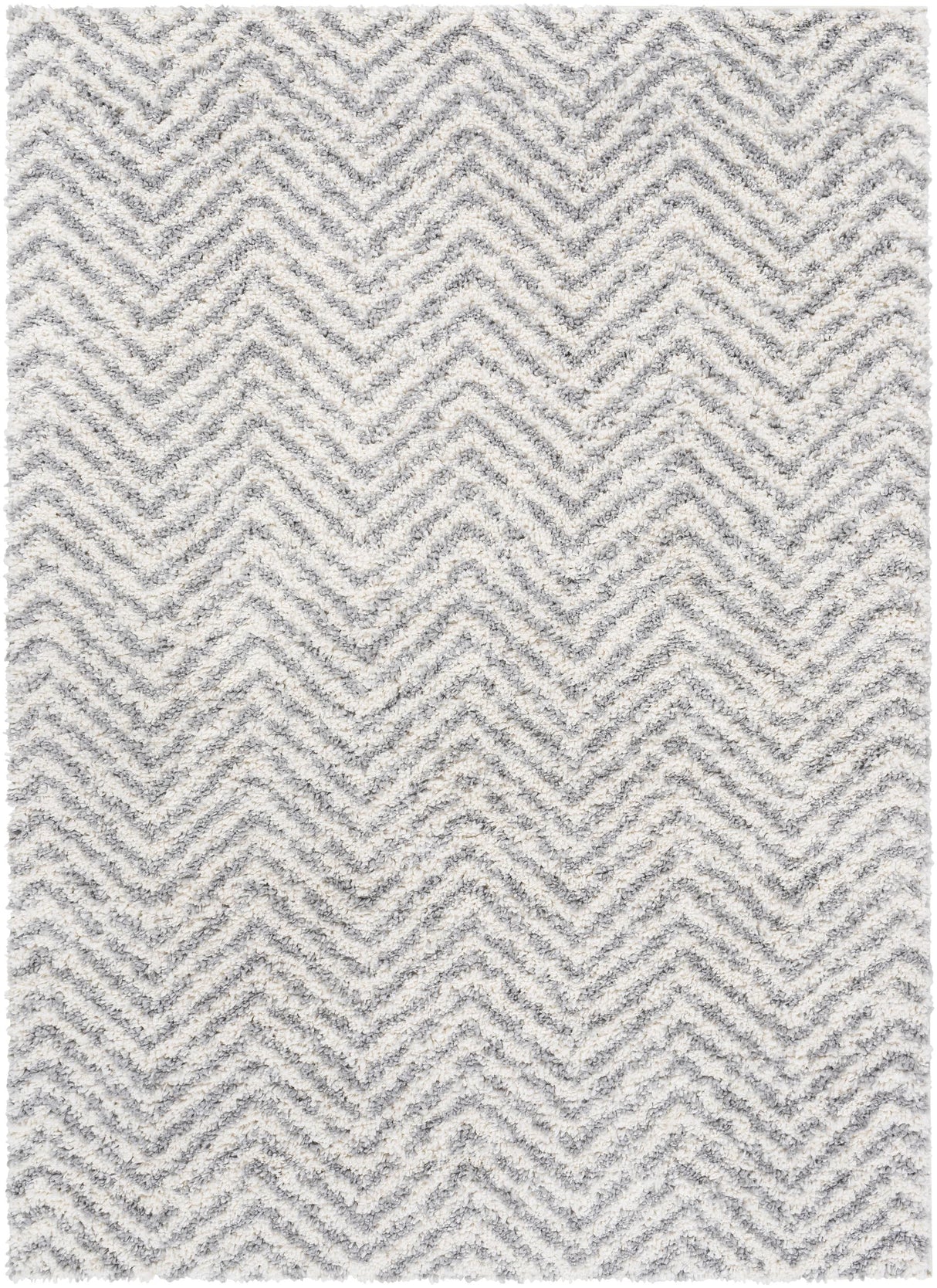 Surya Deluxe Shag DXS-2307 2' x 3' Rug