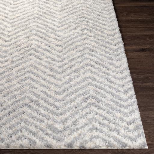 Surya Deluxe Shag DXS-2307 2' x 3' Rug
