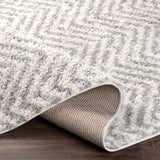 Surya Deluxe Shag DXS-2307 2' x 3' Rug