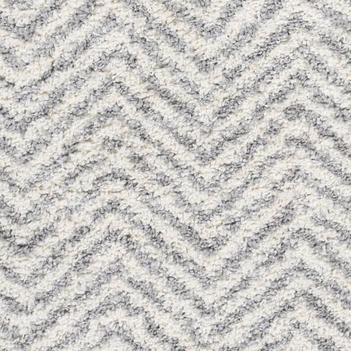 Surya Deluxe Shag DXS-2307 2' x 3' Rug