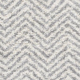 Surya Deluxe Shag DXS-2307 2' x 3' Rug