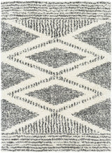 Surya Deluxe Shag DXS-2309 6'7" x 9' Rug