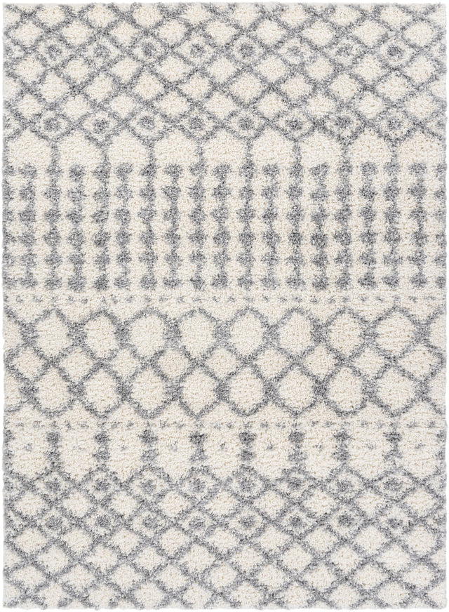 Surya Deluxe Shag DXS-2312 5'3" x 7'3" Rug