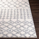 Surya Deluxe Shag DXS-2312 5'3" x 7'3" Rug