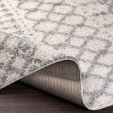 Surya Deluxe Shag DXS-2312 5'3" x 7'3" Rug