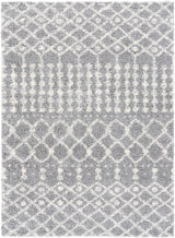 Surya Deluxe Shag DXS-2313 2' x 3' Rug