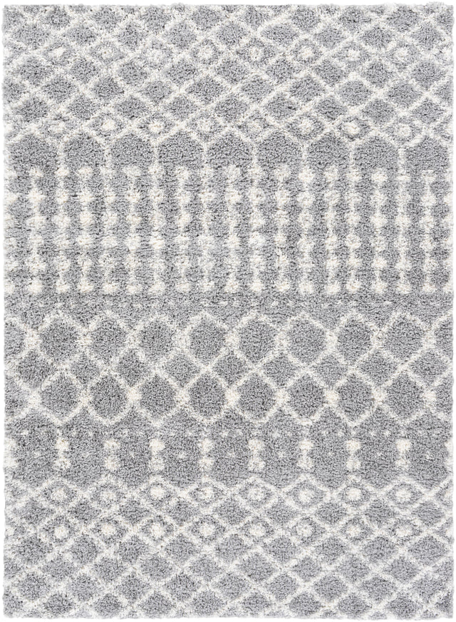 Surya Deluxe Shag DXS-2313 2' x 3' Rug