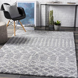 Surya Deluxe Shag DXS-2313 2' x 3' Rug