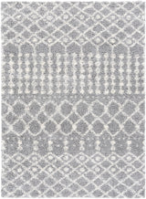 Surya Deluxe Shag DXS-2313 2' x 3' Rug